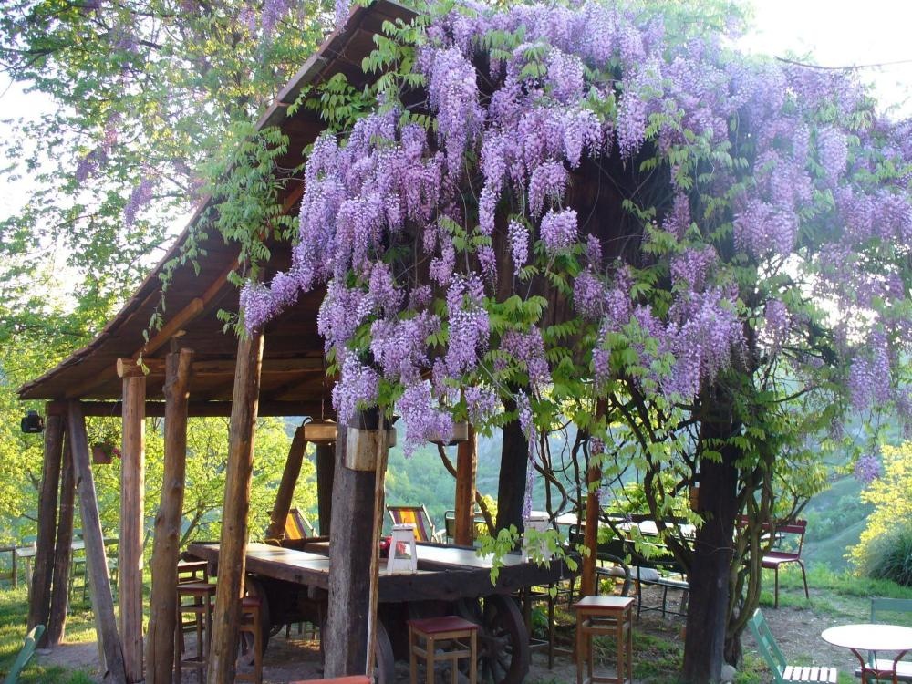 Casa Fluò Relais Image 6