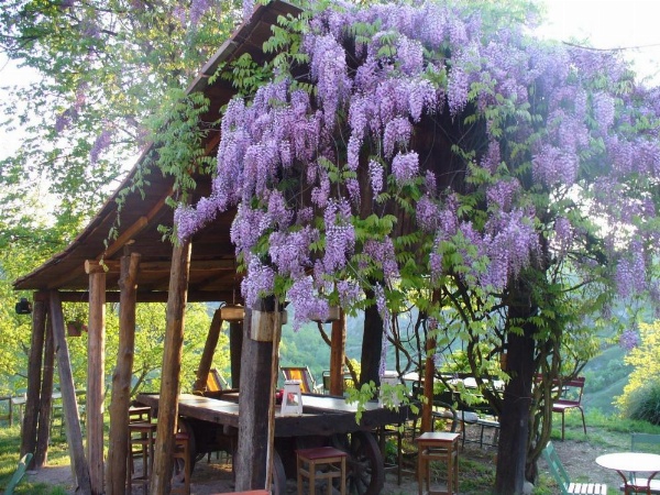Casa Fluò Relais image 16